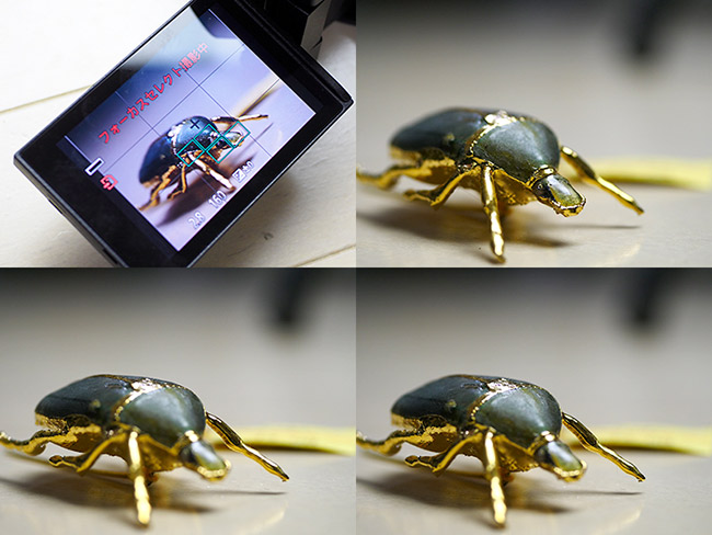 GX8のフォーカスセレクトを試す