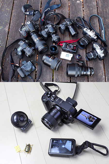今年使ったカメラたち序章
