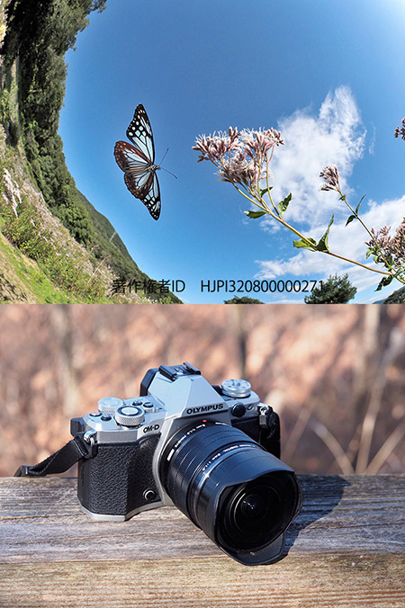 今年使ったカメラたち　MZD　8mm魚眼