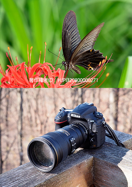 今年使ったカメラたち　望遠レンズニコンPF300mm