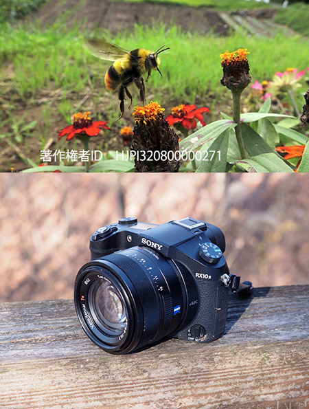 今年使ったカメラたち　ハイスピード動画が撮れるカメラが身近になった