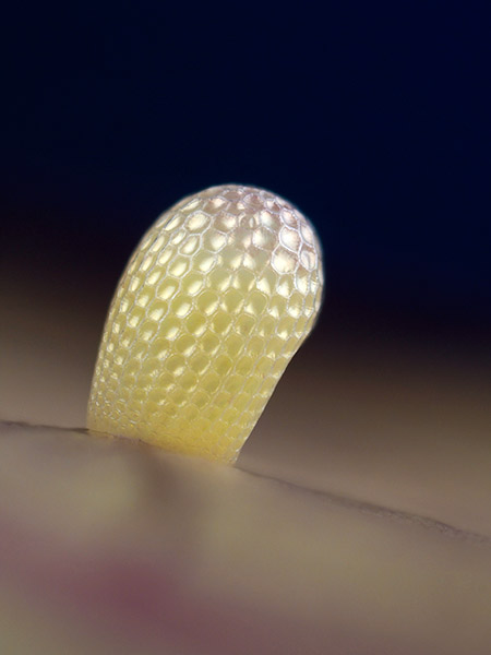 今年も御世話になりました