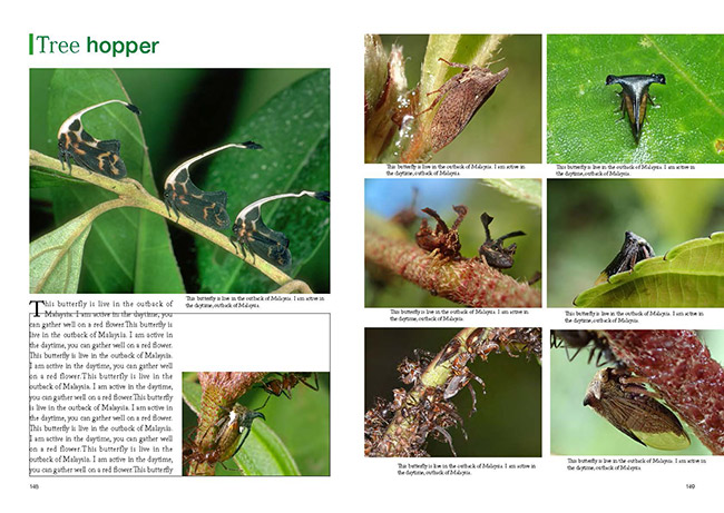 マレーシアで作っている本