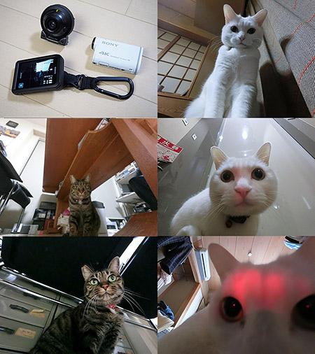 今年使ったカメラたち　アクションカム