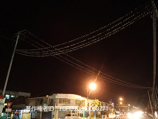 街のツバメのねぐら