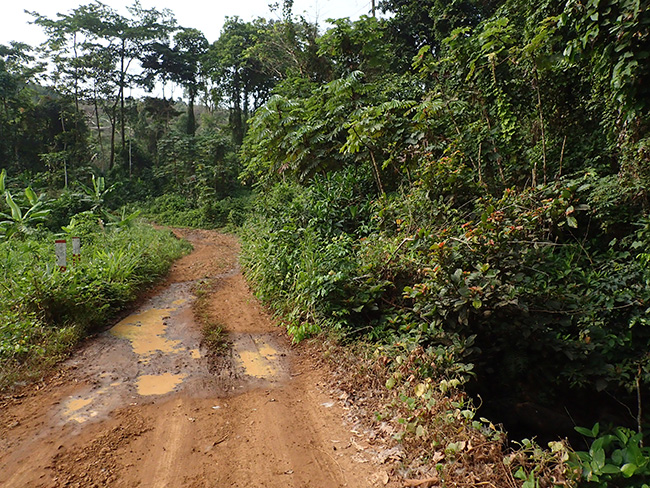 これからカメルーンへ