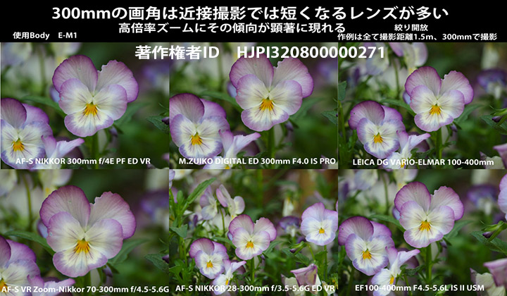 望遠ズームの画角は近接撮影では広くなってしまう