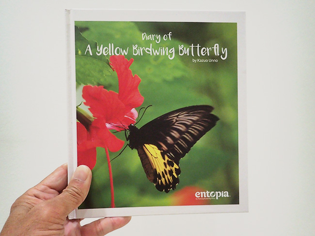 キシタアゲハの一生の本が完成した。