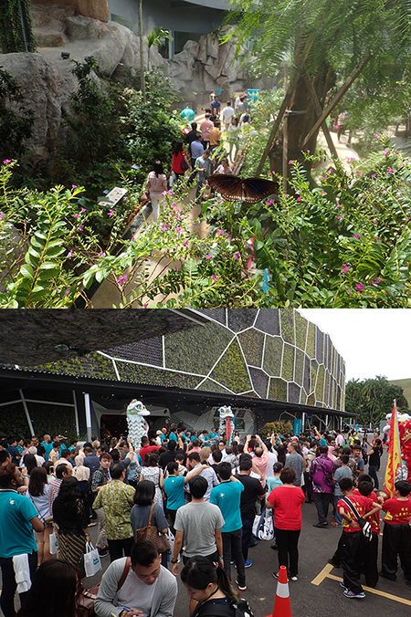 Entopia　グランドオープン