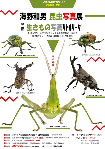 小諸高原美術館写真展の詳細