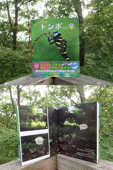 尾園君の素晴らしいトンボの本