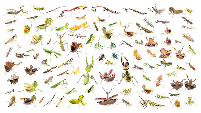 今日から小諸高原美術館で写真展