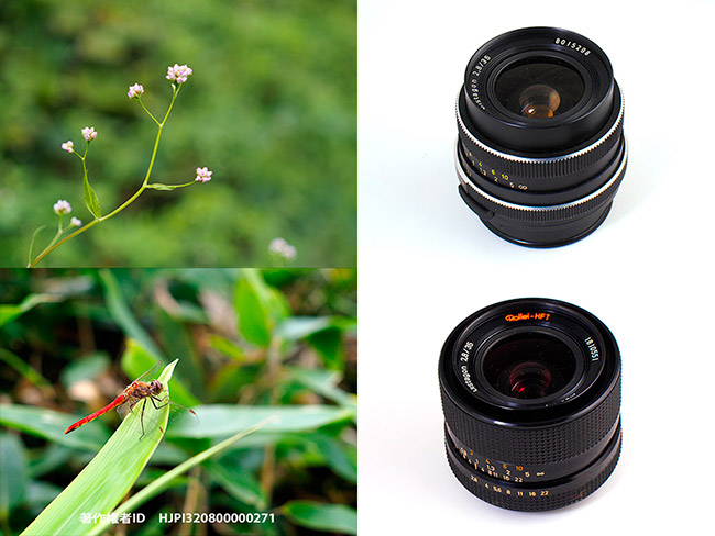 ローライ用Distagon 35mmf2.8を使う