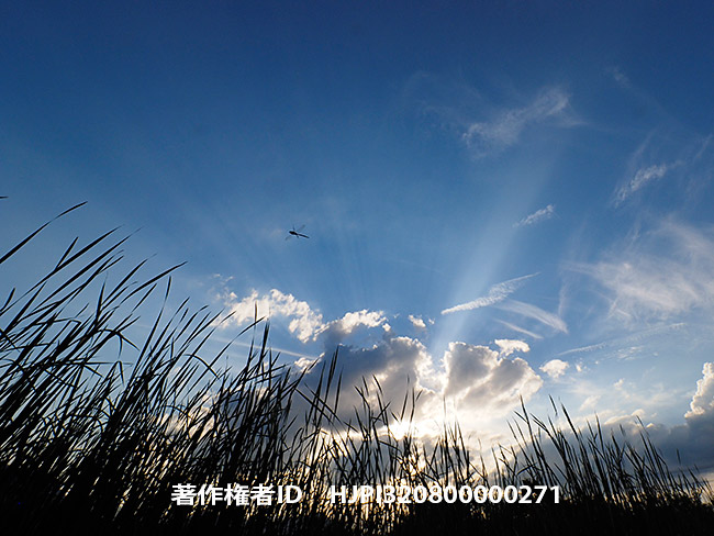 今日からマレーシアとタイへ3週間の旅。