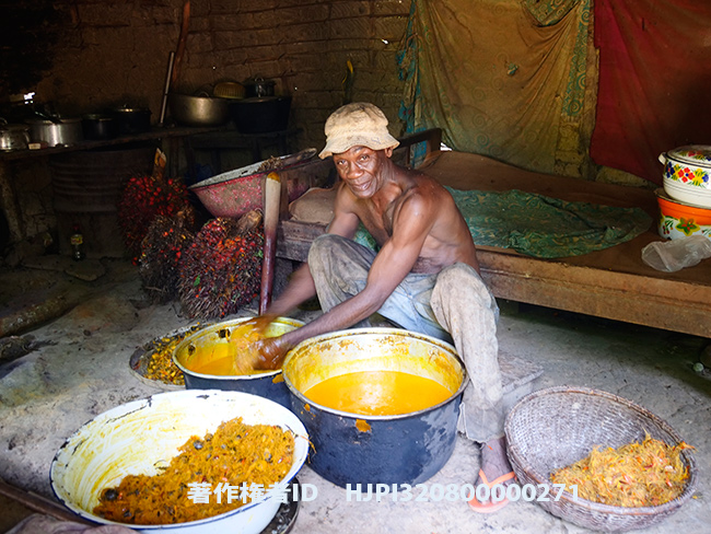 アブラヤシのオイルを採る