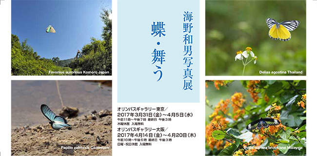 今日から写真展