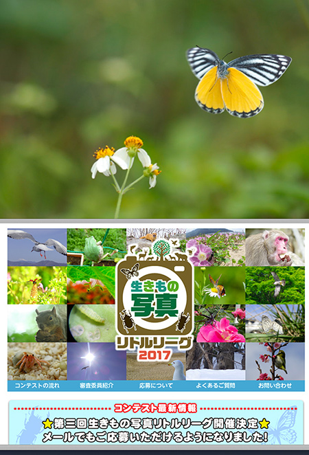 第３回生きもの写真リトルリーグもうじき開催