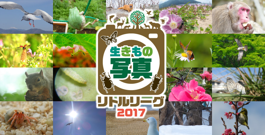 誕生日に思うこと