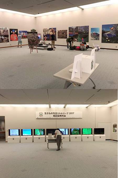 生きもの写真リトルリーグとぼくの写真展