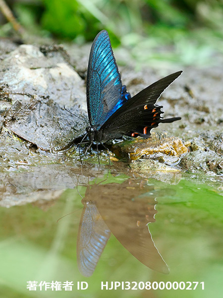 今日は写真展のオープニングイベント