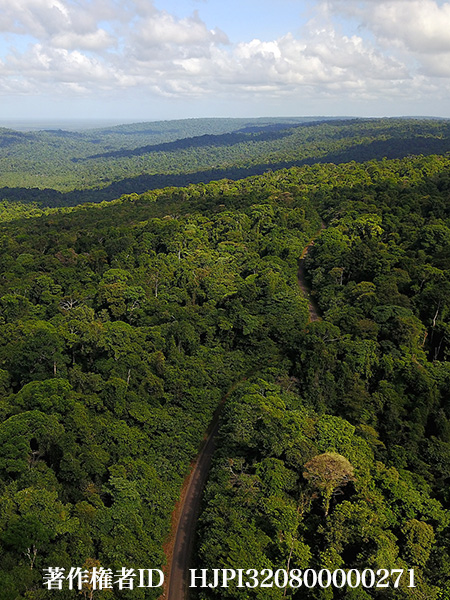 仏領ギアナの旅