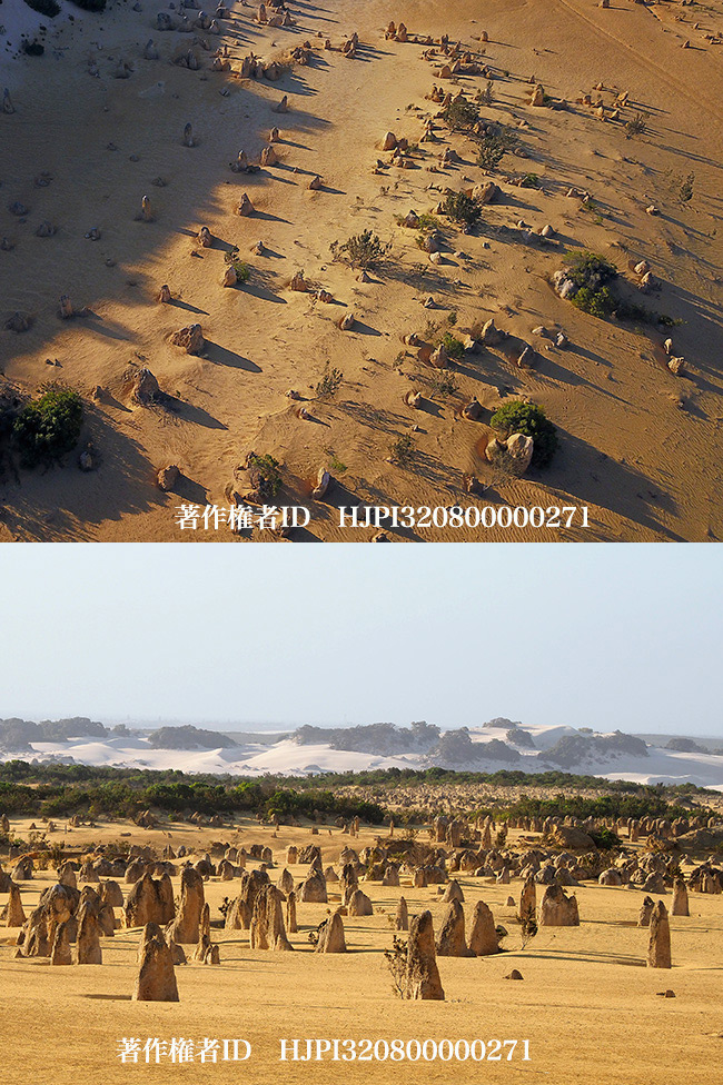 ピナクルズ　Pinnacles　WA