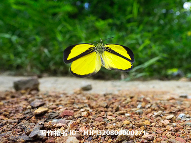 今日からマレーシア　各国の物価を考える