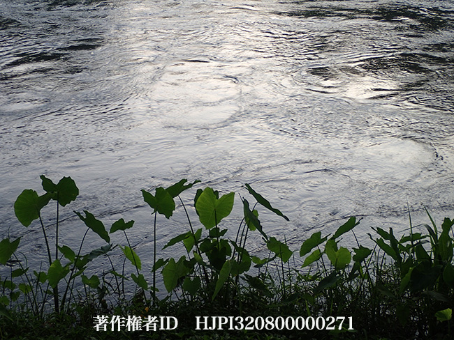 水面をTG-3で、明日はCP+に出演