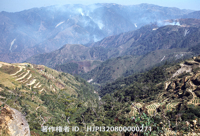 ルソン島の山岳地帯