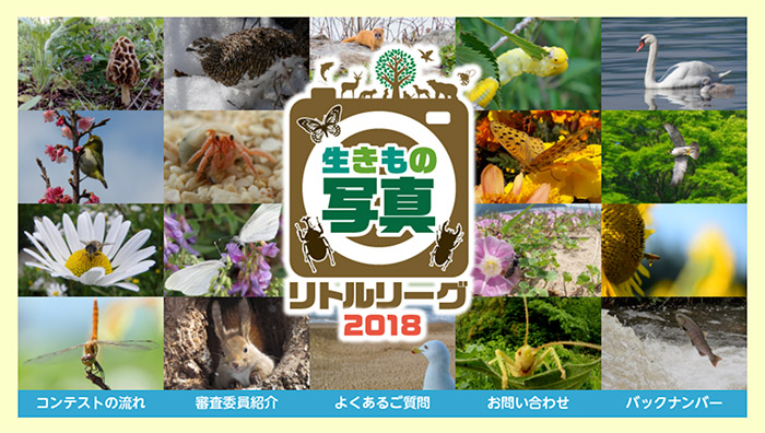明日から生きもの写真リトルリーグ2018の展示