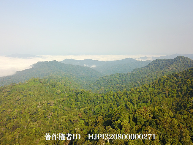 今日からミャンマーへ