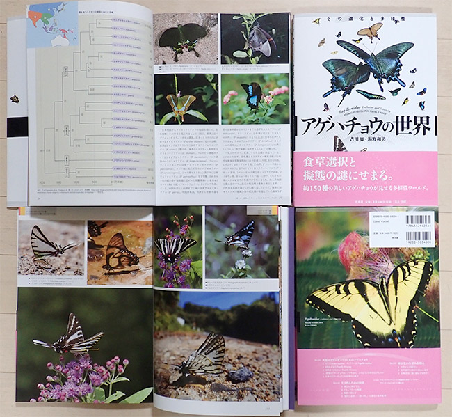 アゲハチョウの世界が出版されます