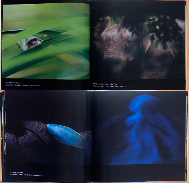 佐藤岳彦君の写真集「密怪生命」