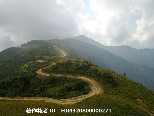 シボリアゲハの住む山