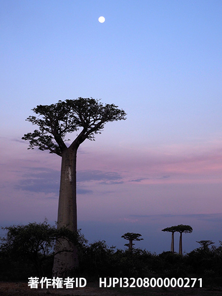 マダガスカルの天気