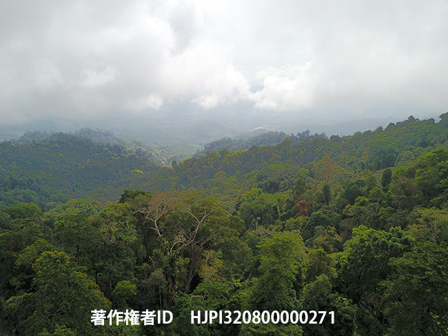 今日からマレーシアへ