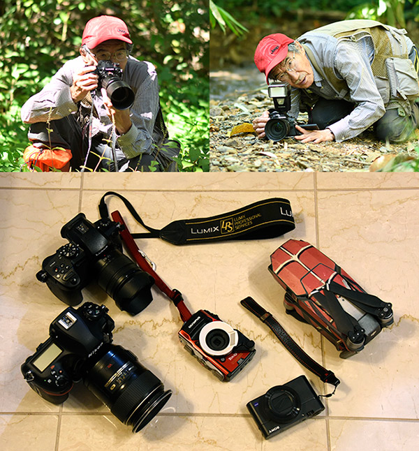 今年使ったカメラたち