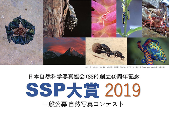 SSP大賞締め切り間近です