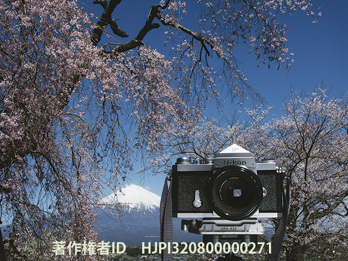 ニコンF　NikonF　1959