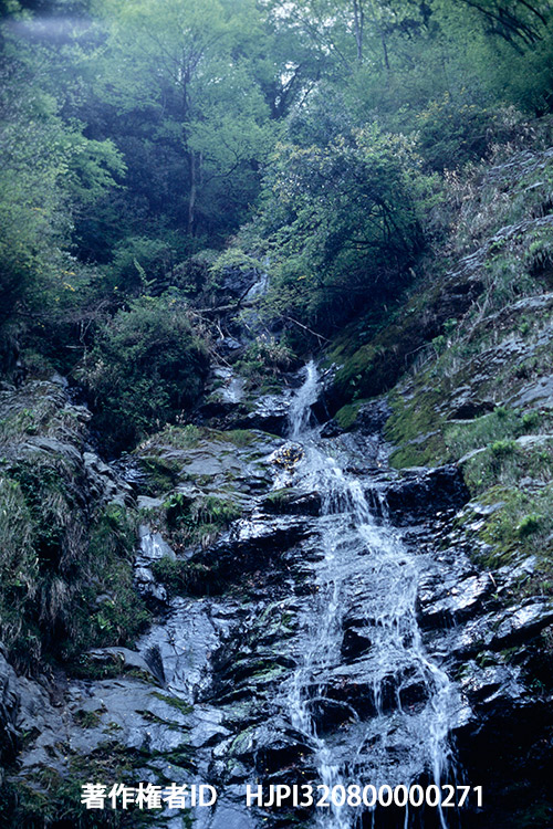 滝　ミノルタXD５