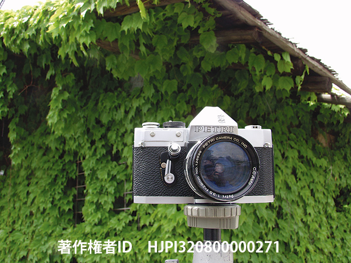 ペトリV6　PETRI V6 1965