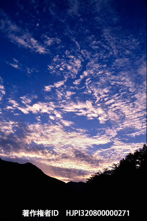 秋の夕暮れ　ペンタックスLX