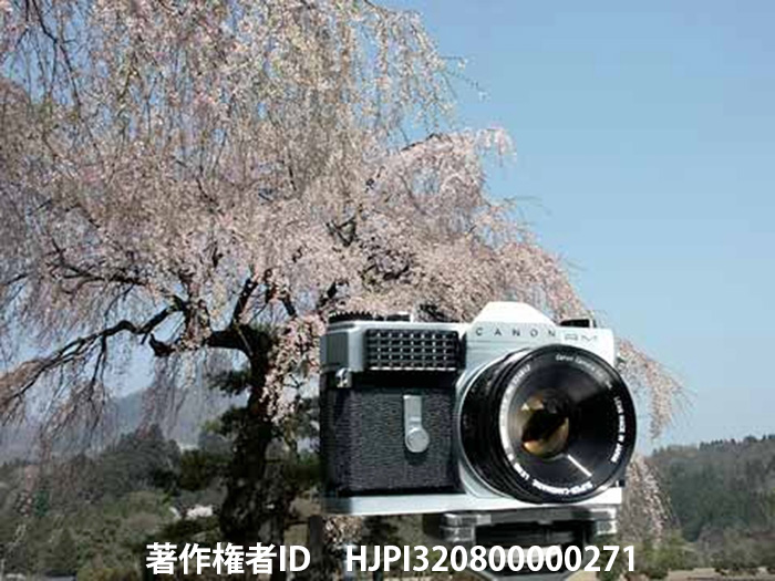 キャノンフレックスRM　1962