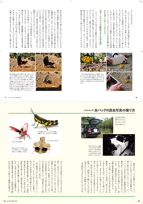 デジタルカメラで昆虫観察