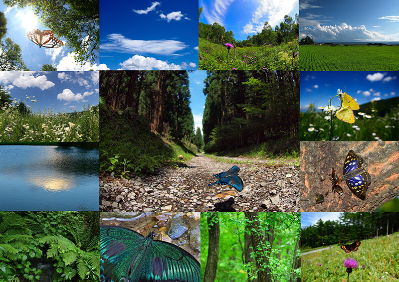 写真展　小諸日記20年　開催します