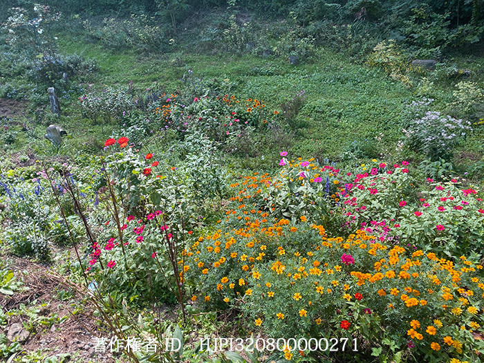 今年のバタフライガーデン総括