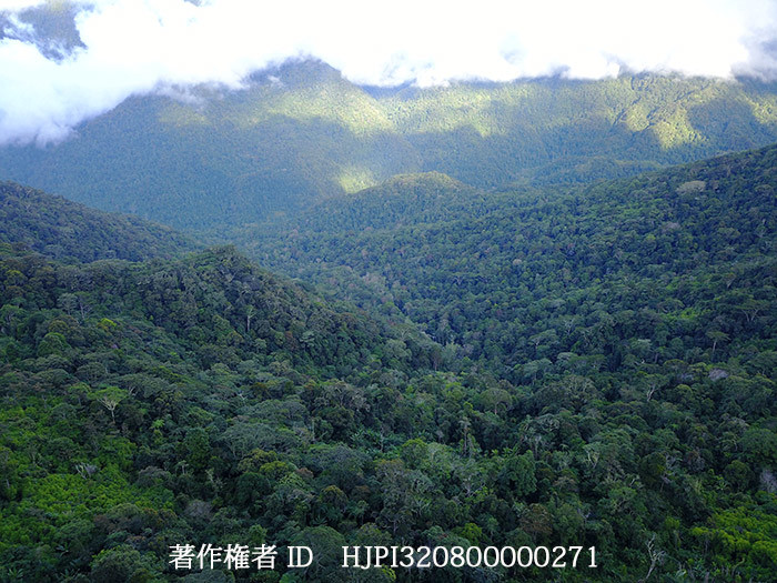 西パプアから戻って