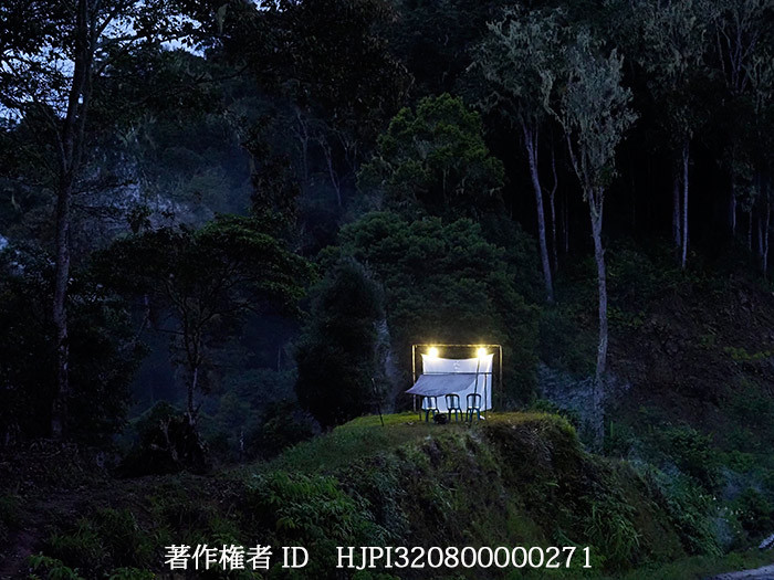 ライトトラップ