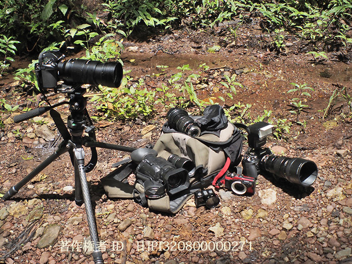 今年使ったカメラたち