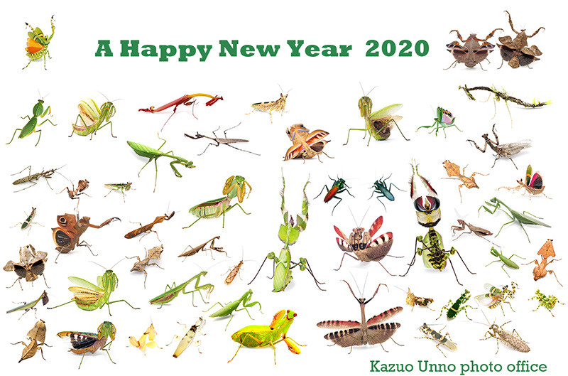 あけましておめでとうございます